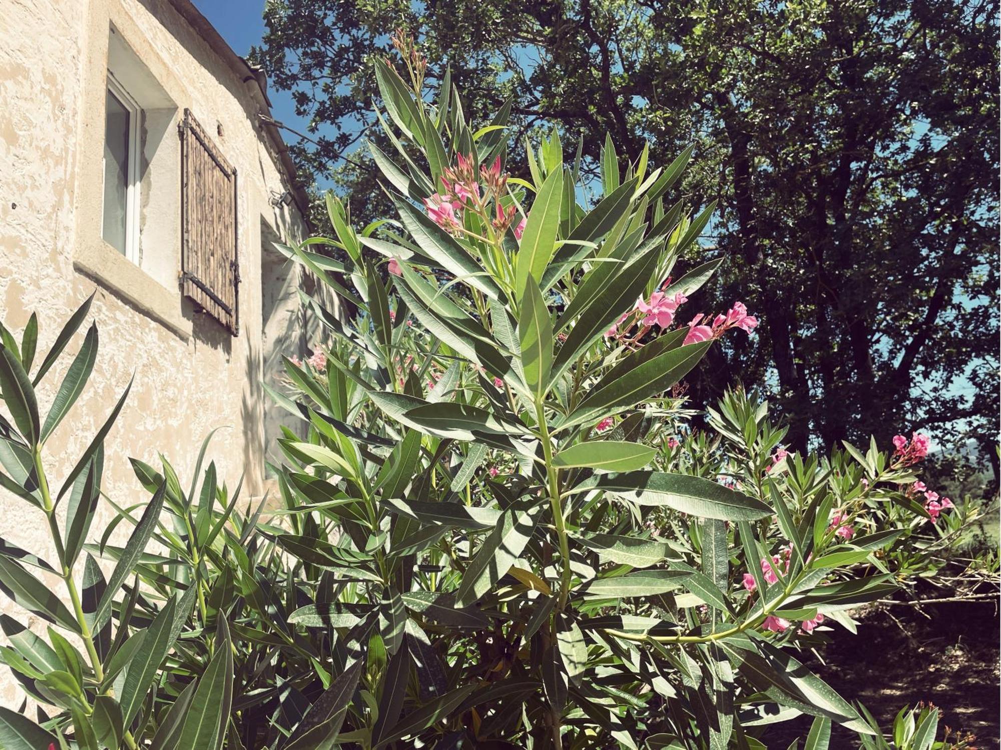 איל-סור-לה-סורג Appartement A La Campagne מראה חיצוני תמונה